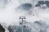 Patnitop: कश्मीर घूमने जा रहे हैं तो पटनीटॉप जाना ना भूलें, तस्वीरों में जानें इस खूबसूरत जगह की खासियत