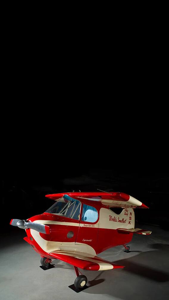 વિશ્વનું સૌથી નાનું એરક્રાફ્ટ