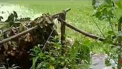 Drainage: বিদ্যাধরীর নিকাশি খাল আটকে রাখায় ভেসে যাচ্ছে চাষ জমি, শুরু তরজা | Bangla News