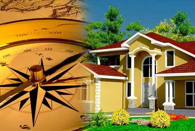 বাস্তু অনুসারে, এই গাছগুলি লাগালে বাড়িতে ধনসম্পদ বৃদ্ধি পায়।
