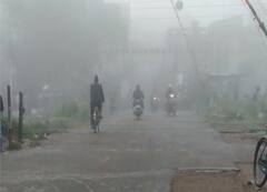 Weather Update: কুয়াশাচ্ছন্ন সকাল, রাজ্যজুড়ে ফিরল শীতের আমেজ
