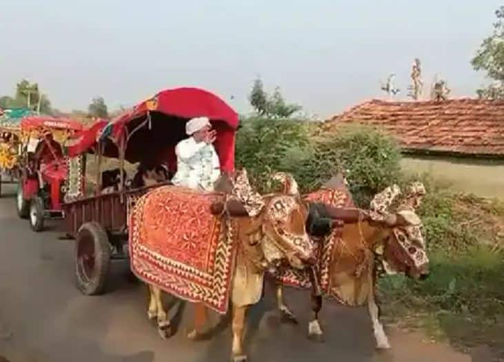 Amreli: Patel family grooms baarat in cart becomes center of attraction અમરેલીમાં પટેલ પરિવારનો વરરાજા કારના બદલે બળદગાડામાં જાન કાઢીને  પરણવા ગયા, સુરતમાં રહે છે પરિવાર