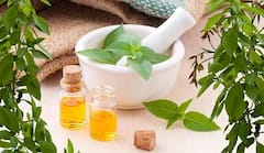 Healthy And Glowing Skin: হাতের কাছে ৫ পাতা, ব্যবহারে উধাও ব্রণর দাগ