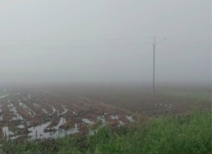 সপ্তাহশেষে কলকাতা ছাড়াও বেশ কয়েকটি জেলায় স্বাভাবিকের থেকে নীচে নামতে পারে তাপমাত্রা।