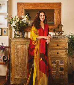 Happy Birthday Dia Mirza: অভিনয়ে আসার আগে কী করতেন দিয়া মির্জা?