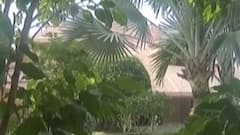 અમદાવાદઃ શહેરમાં સાલ ગ્રુપના અનેક ઠેકાણે ITના દરોડા, જુઓ ગુજરાતી ન્યૂઝ