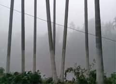 Weather Update : শনিবার থেকে আরও নামবে পারদ, আজ কত তাপমাত্রা কলকাতায় ?