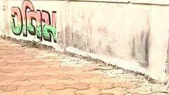 KMC Election 2021: নির্দল প্রার্থী তনিমা-সচ্চিদানন্দের প্রচারে 'বাধা', অভিযুক্ত TMC | Bangla News