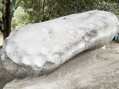 क्या कभी पत्थरों से आवाजें आती सुनी हैं? छत्तीसगढ़ के ठिनठिनी पत्थर की हो रही चर्चा