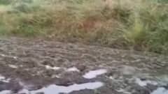 મોરબી: હળવદમાં પ્રશાસનની બેદરકારીના કારણે ખેડૂતોને હાલાકી, જુઓ ગુજરાતી ન્યુઝ