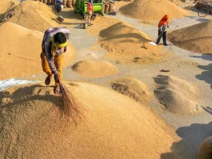 Jharkhand paddy procurement will begin from 15 december government fixed maximum limit  Jharkhand News: जानें- झारखंड में कब से शुरू होगी धान की खरीद, सरकार ने उठाया है ये बड़ा कदम 