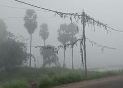 Weather Update : শনিবার থেকে আরও নামবে পারদ, আজ কত তাপমাত্রা কলকাতায় ?