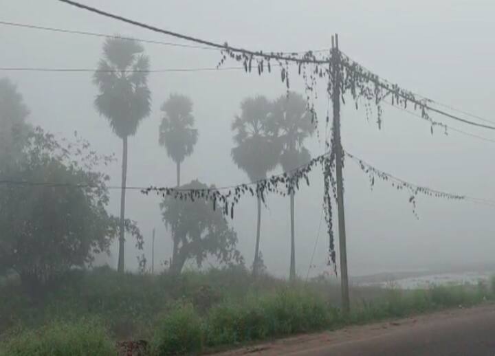 সপ্তাহান্তে দোরগোড়ায় শীত। কলকাতায় আজও কুড়ির নীচে পারদ।