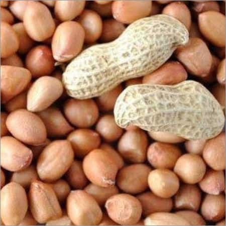 Peanuts Benefits : हिवाळ्यात शेंगदाणे खाणे आरोग्यासाठी खूप फायदेशीर मानले जाते.