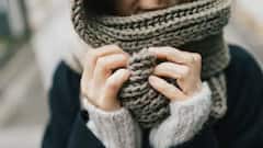 Winter Tips: শীতকালেও কীভাবে গরমকালের পোশাকে পরবেন? একটু বুদ্ধি খাটালেই সম্ভব