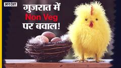 Gujarat में Non Veg को लेकर बवाल, चिकन-मटन-अंडे की रेहड़ी जब्त करने वालों को High Court की फटकार