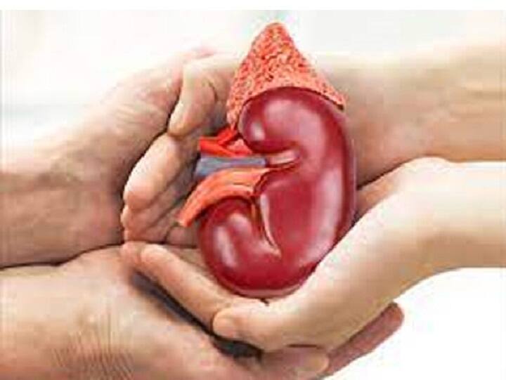 Mother saves the life of a youth by donating her kidney உயிருக்குப் போராடிய மகன்... சிறுநீரக தானம் செய்த தாய்: திருச்சியில் ஒரு நெகிழ்ச்சி சம்பவம்!