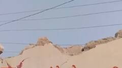 રાજ્યમાં શાળાના ઓરડાઓ અંગે પ્રાથમિક વિભાગના નિયામકે શું આપ્યું નિવેદન?, જુઓ ગુજરાતી ન્યૂઝ