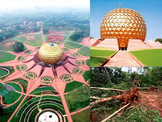 Interim ban on felling of trees for the Crown Project in Auroville ஆரோவில் கிரவுண் திட்டத்திற்காக மரங்களை வெட்ட இடைக்கால தடை