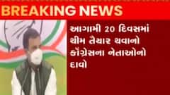 વિધાનસભા ચૂંટણી: અસરકારક થીમ તૈયાર કરવા રાહુલ ગાંધીનો આદેશ, જુઓ ગુજરાતી ન્યુઝ