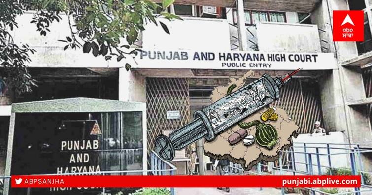 drugs case of Punjab could not be heard in the Punjab and Haryana High Court on Thursday Punjab Drug Case: ਪੰਜਾਬ ਸਰਕਾਰ ਨੂੰ ਝਟਕਾ, ਡਰੱਗਜ਼ ਕੇਸ ਦੀ ਸੁਣਵਾਈ 11 ਜਨਵਰੀ ਤਕ ਟਲੀ: ਉਦੋਂ ਤਕ ਲੱਗ ਸਕਦਾ ਚੋਣ ਜ਼ਾਬਤਾ