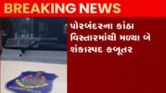 પોરબંદર મરીન પોલીસને બે શંકાસ્પદ કબૂતર મળ્યા, જુઓ ગુજરાતી ન્યુઝ