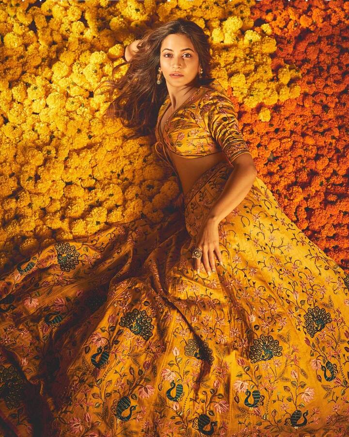 कृतीचे हे फोटो चाहत्यांच्या पसंतीस उतरत आहेत.