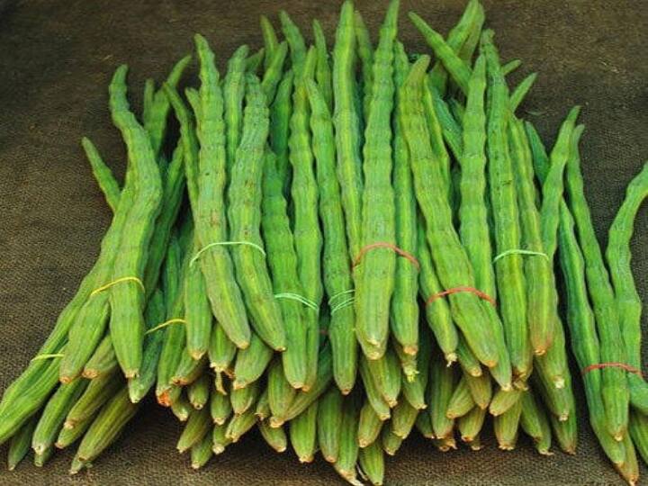 Drumstick is good for diabetes patient to know its eating benefits Health tips: સરગવો ડાયાબિટિસના દર્દી માટે છે ઔષધ સમાન,  સેવનથી થાય છે આ અન્ય  ગજબ ફાયદા