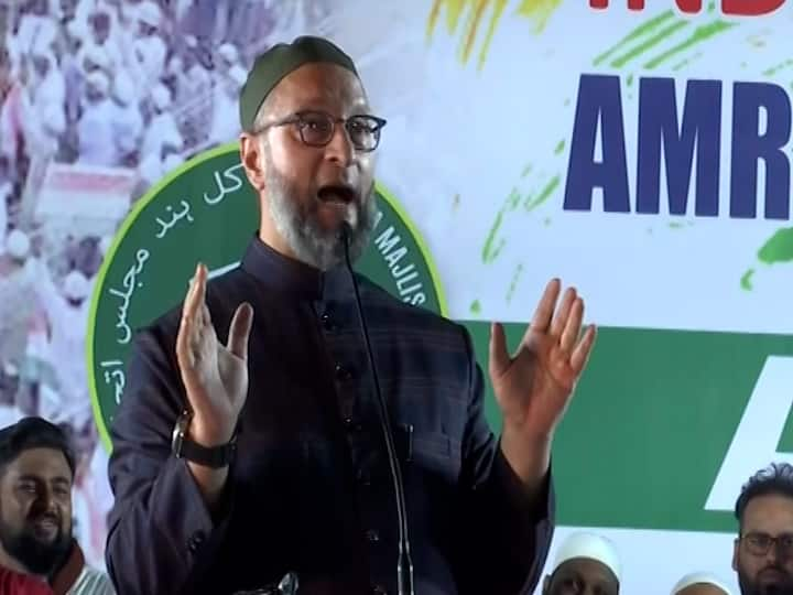 Asaduddin  Owaisi  slams Mahavikas aghadi on Muslin Reservation मुस्लिमांनाही शिकायचंय त्यांना आरक्षण द्या, असदुद्दीन ओवेसींचा सरकारवर हल्लाबोल