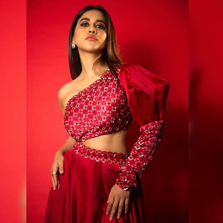 హ్యాపీ బర్త్ డే ఇస్మార్ట్ బ్యూటీ నభానటేష్ (Image Credit: Nabha Natesh/ Instagram)