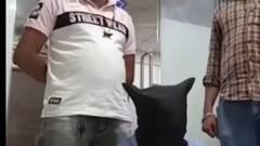 ભરૂચ: શહીદો મામલે આપત્તીજનક ટિપ્પણી કરનારની ધરપકડ, જુઓ ગુજરાતી ન્યુઝ