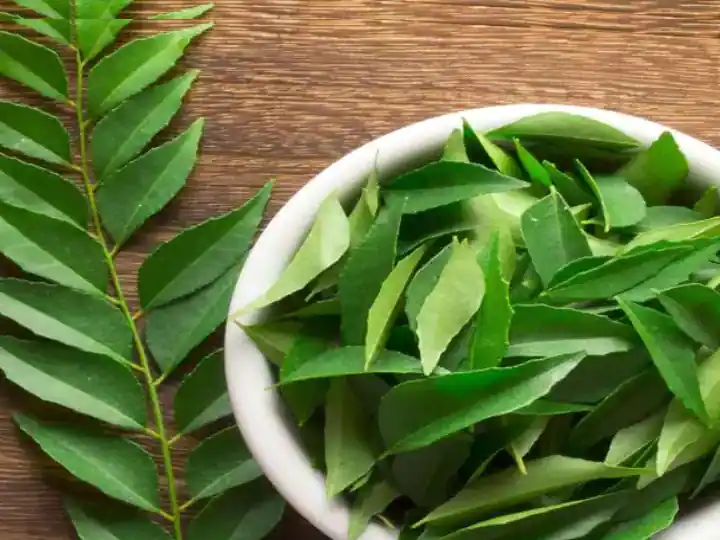 Curry Leaves: सकाळी उठल्या-उठल्या प्या, कढीपत्त्याचं पाणी अन् जादू पाहा; एक नाही अनेक फायदे!