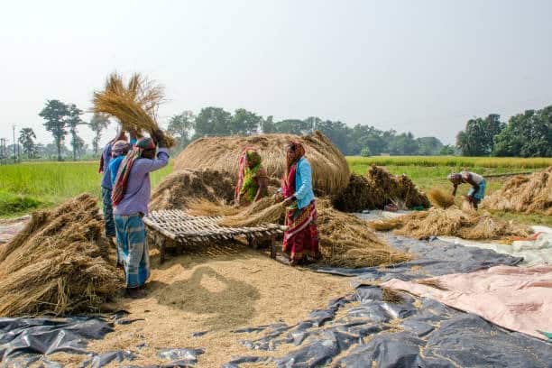 দরজায় কড়া নাড়ছে শীত। পশ্চিমী ঝঞ্ঝার প্রভাব কাটলে আগামী সপ্তাহে বাধাহীন উত্তুরে হাওয়ায় ভর করে রাজ্যে ফিরতে পারে ঠান্ডার আমেজ।