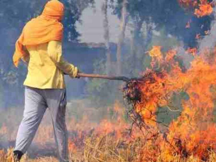 Jabalpur issue of stubble burning reached the National Human Rights Commission ANN Jabalpur News: राष्ट्रीय मानव अधिकार आयोग पहुंचा पराली जलाने का मामला, याचिकाकर्ता ने की कार्रवाई की मांग