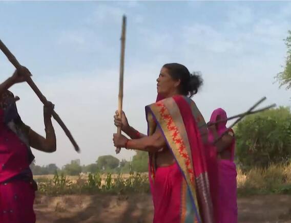 बांदा की 'गुलाबी गैंग' का क्या है चुनावी मूड? | UP Election | Sampat Pal Devi