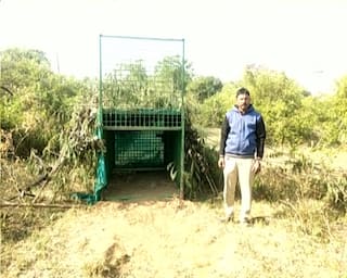 મહેસાણામાં દીપડો દેખાતા ખેડૂતોમાં ભયનો માહોલ, દીપડાને પકડવા પાંજરા મુકાયા