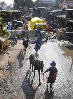 Farmers protest:ঘরে ফিরছেন কৃষকরা, পথে ফুল-মালা দিয়ে অভ্যর্থনা