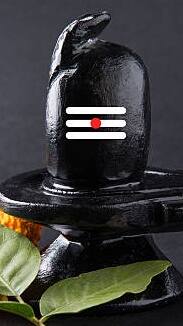 Coch Behar BJP Shiv Puja : কোচবিহারে বিজেপির শিবপুজোর পাল্টা পুজো তৃণমূলের, রক্ষণাবেক্ষণ নিয়েও তাল ঠোকাঠুকি