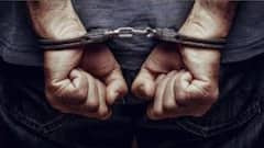 Bangladeshi Arrest: অনুপ্রবেশের অভিযোগ, ধৃত ১৭ 'বাংলাদেশি' | Bangla News