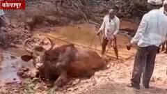 TOP 25 : टॉप 25 न्यूज बुलेटिन : 13 डिसेंबर 2021 : ABP Majha