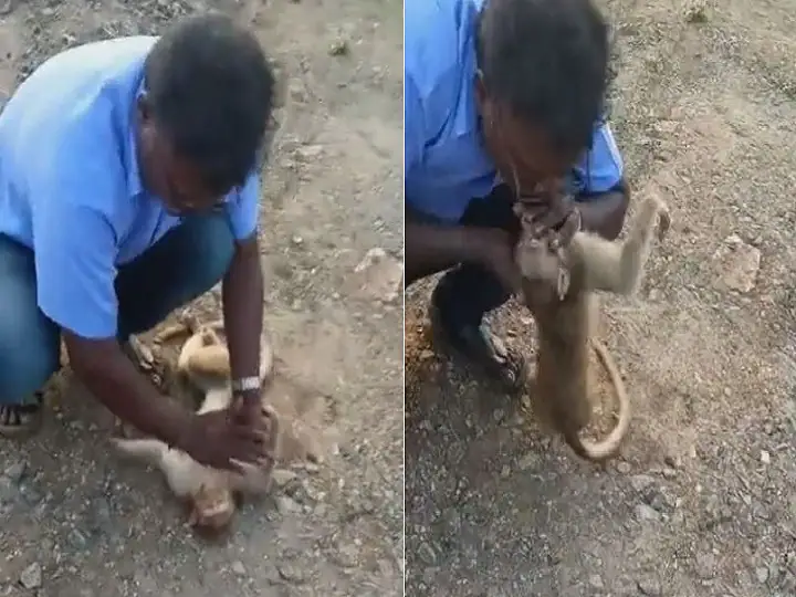 Tamil Nadu Man Saves Injured Monkey By Giving Emergency CPR, Pics Go Viral