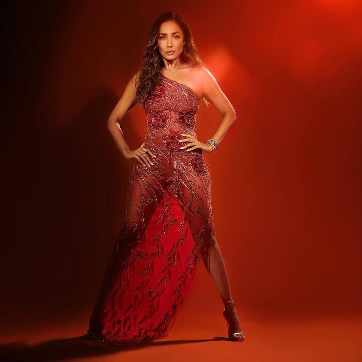 सामने आई इन तस्वीरों में आप देख सकते हैं कि मलाइका अरोड़ा जालीदार ड्रेस और हाई हील्स में वंडर वुमन की तरह पोज देती दिखाई दे रही हैं.