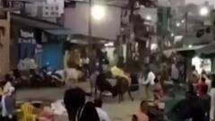 વલસાડમાં રખડતા ઢોરનો ત્રાસ, બે આખલા બાખડતા લોકોના જીવ ચોંટ્યા તાળવે