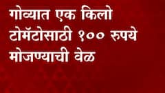 Goa Tomato Price hike : गोव्यात पेट्रोल आणि बिअरपेक्षा टोमॅटो महाग ABP Majha