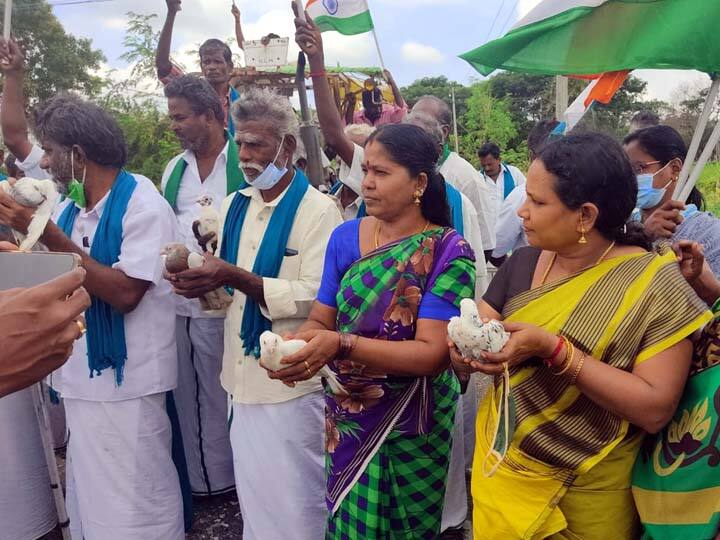 Delhi farmers protest victory - Tanjore farmers thank pigeons for flying டெல்லி விவசாயிகள் போராட்டம் வெற்றி - புறாக்களை பறக்கவிட்டு நன்றி தெரிவித்த தஞ்சை விவசாயிகள்