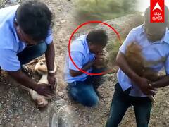 Viral Video: ஐயா.. சாமி.. தன் மூச்சை கொடுத்து குரங்கை காப்பாற்றிய மனிதம்