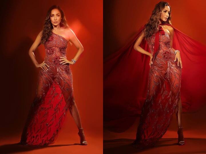 Malaika Arora Latest Photos: अभिनेत्री मलाइका अरोड़ा ने एक बार फिर से अपने लेटेस्ट अंदाज से हर किसी को इंप्रेस कर दिया है. मलाइका इन तस्वीरों में बेहद शानदार अंदाज में अपनी टोन्ड बॉडी और जालीदार ड्रेस फ्लॉन्ट करती दिखाई दे रही हैं.