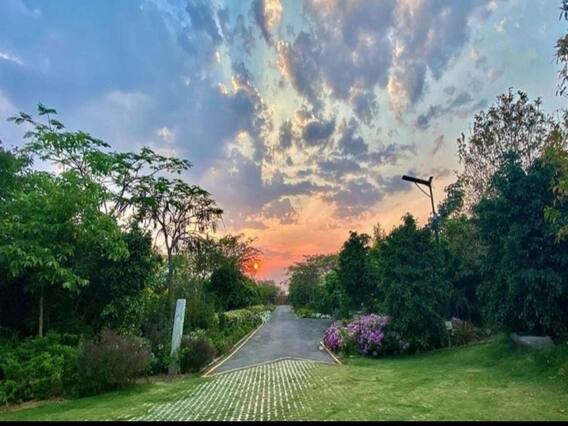 MS Dhoni Farmhouse: रांची में सात एकड़ में फैला है धोनी का ये आलीशान फार्महाउस, करोड़ों की है कीमत,  देखें Unseen Photos