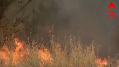 Climate Change : 2021 मध्ये फक्त वणव्यांमुळे किती नुकसान? हवामान बदलाचा भारतावर कोणता परिणाम?