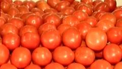 ટામેટાના વધેલા ભાવથી ગૃહિણીઓનું બજેટ ખોરવાયું, જુઓ ગુજરાતી ન્યુઝ